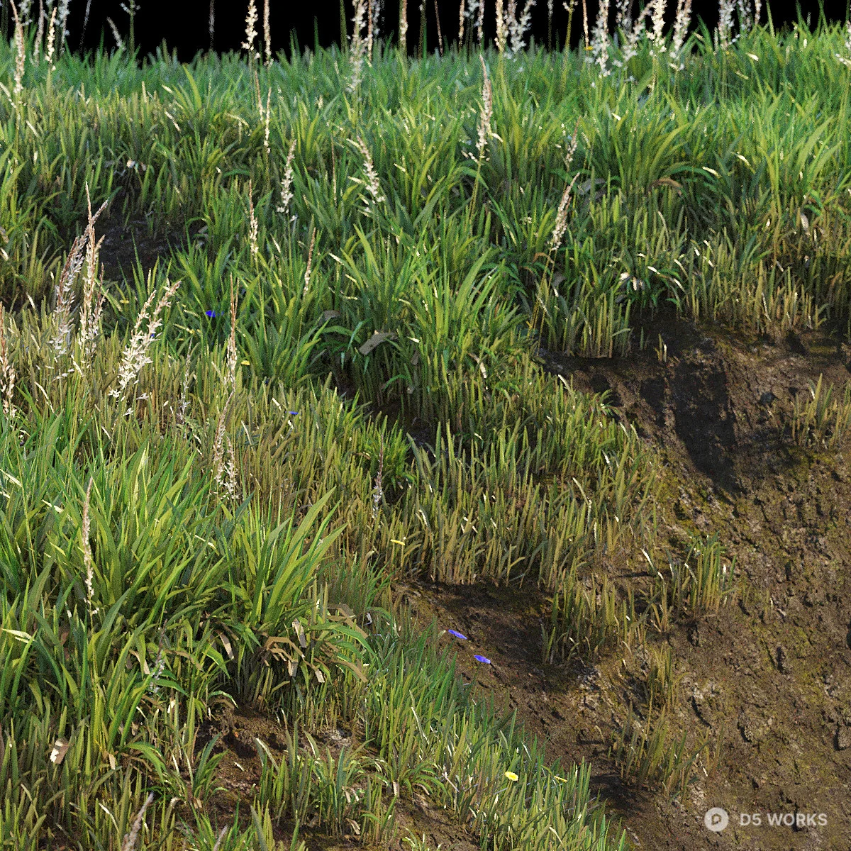 Lush Green Lawn 3d model thumbnail 3