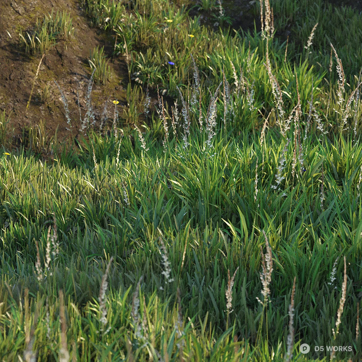 Lush Green Lawn 3d model thumbnail 4
