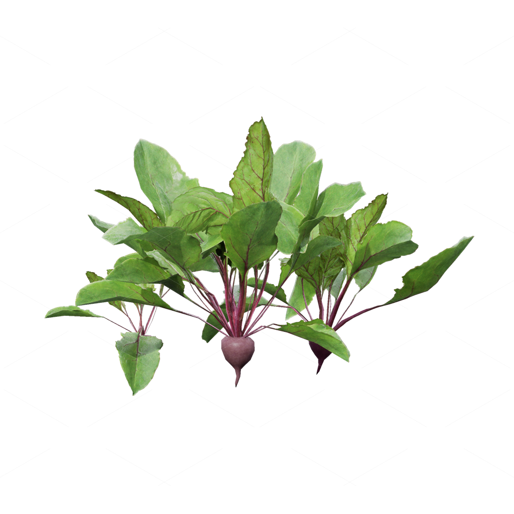 Crops 3D Models