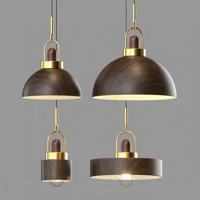 Wooden Dome Pendant Light With Brass Hardware 3d model