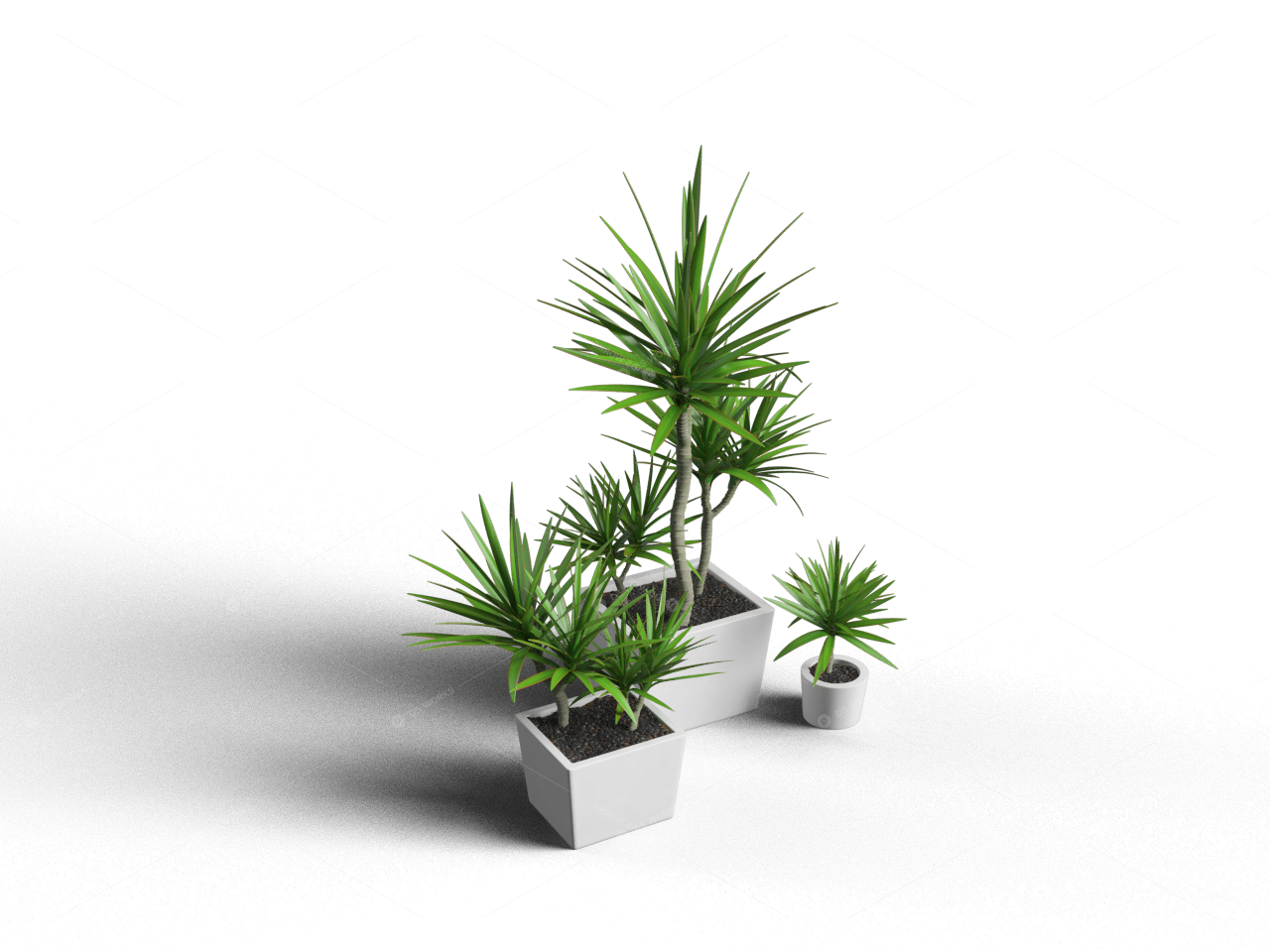 Modern Potted Plant modern-potted-plant