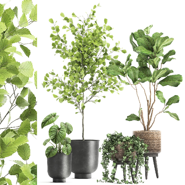Mid-Century Modern Potted Plant