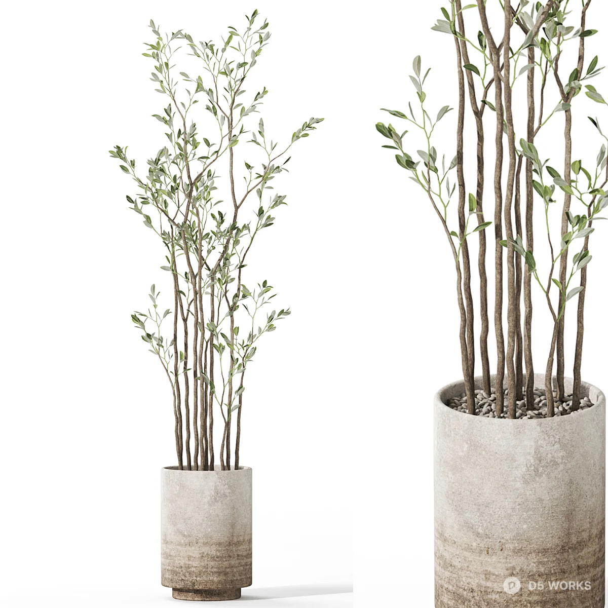Concrete Planter With Branching Greenery 3d model - Image 1