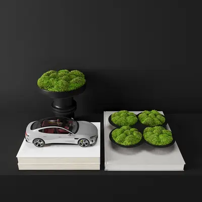 Modern New Chinese Moss