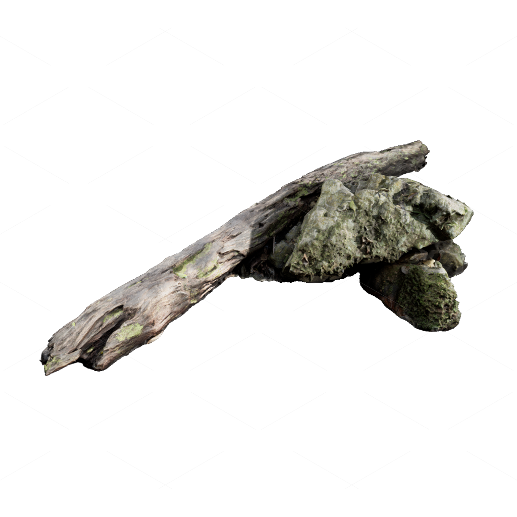 Other Botanicals 3D Models