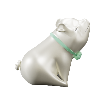 Other Ornaments Northern European pig