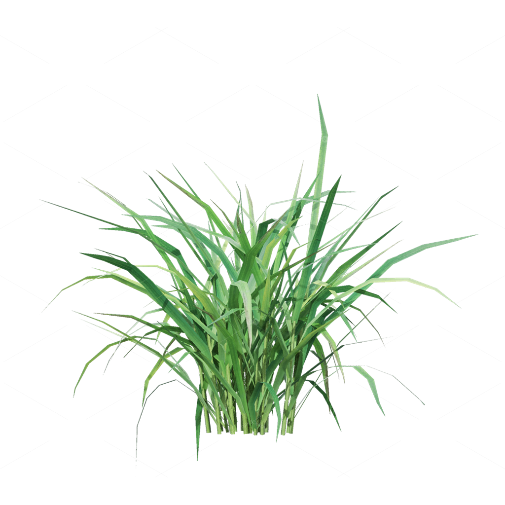 Crops 3D Models