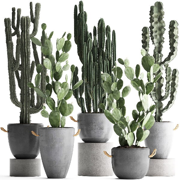 Industrial Potted Plant