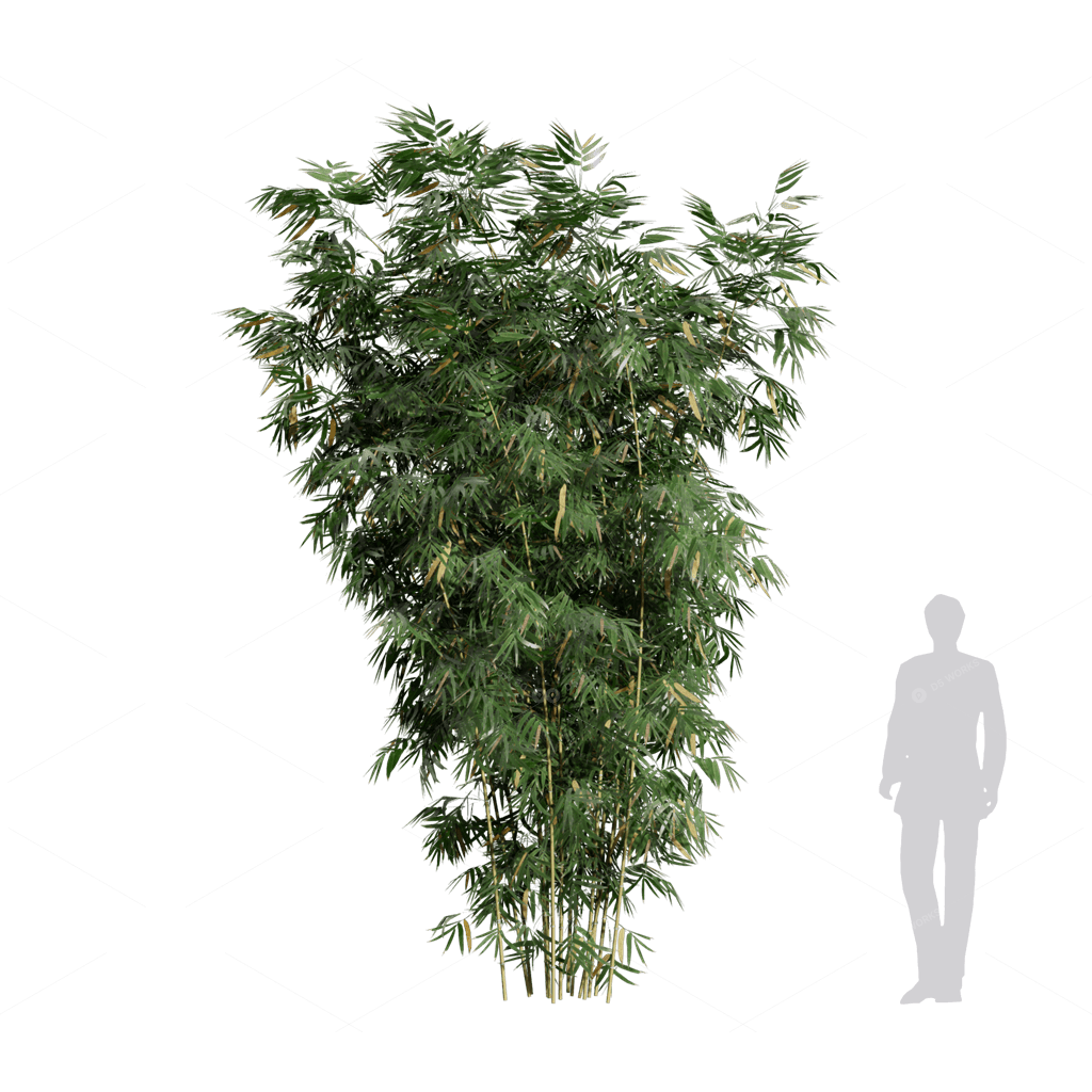 Other Botanicals 3D Models