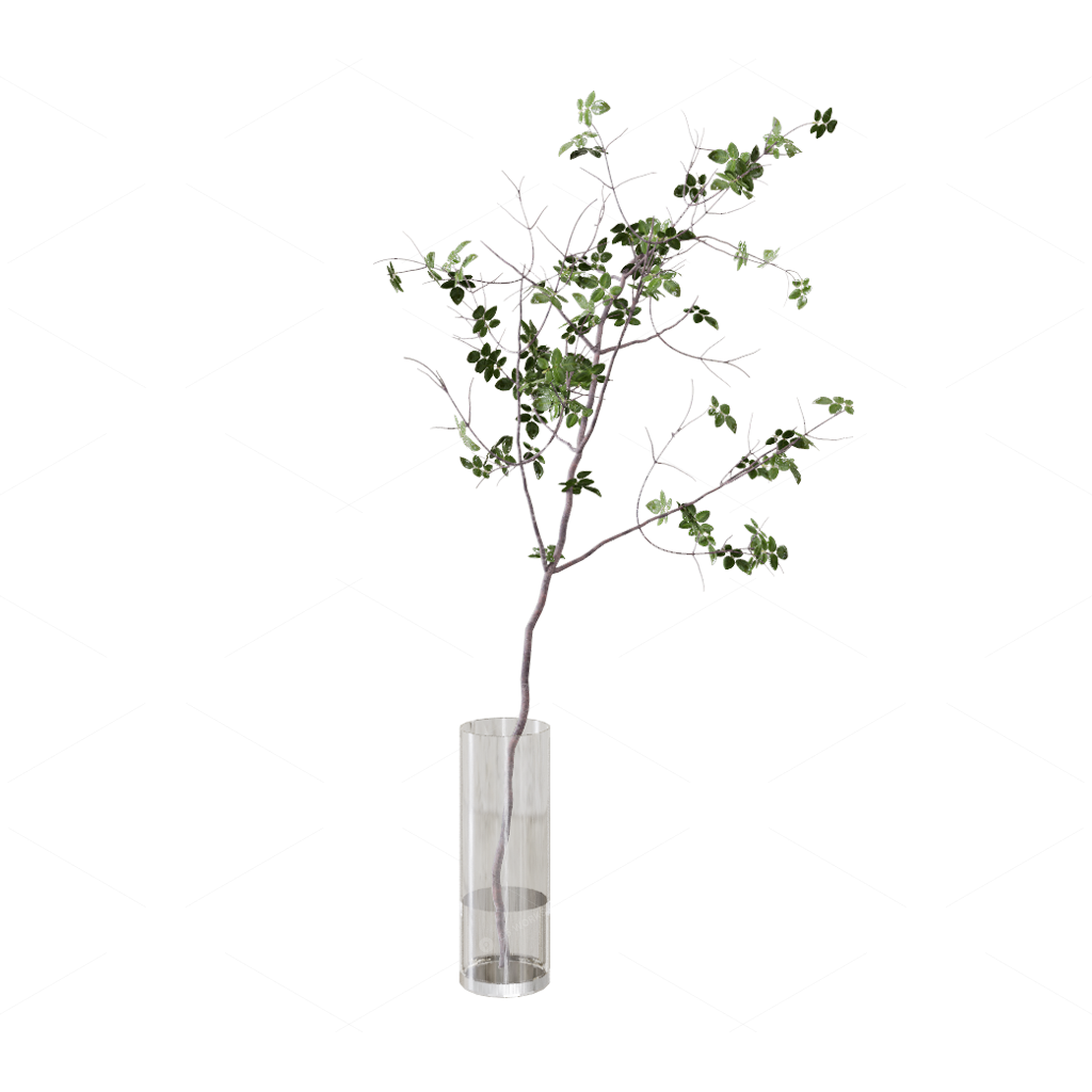 Greenery 3D Models