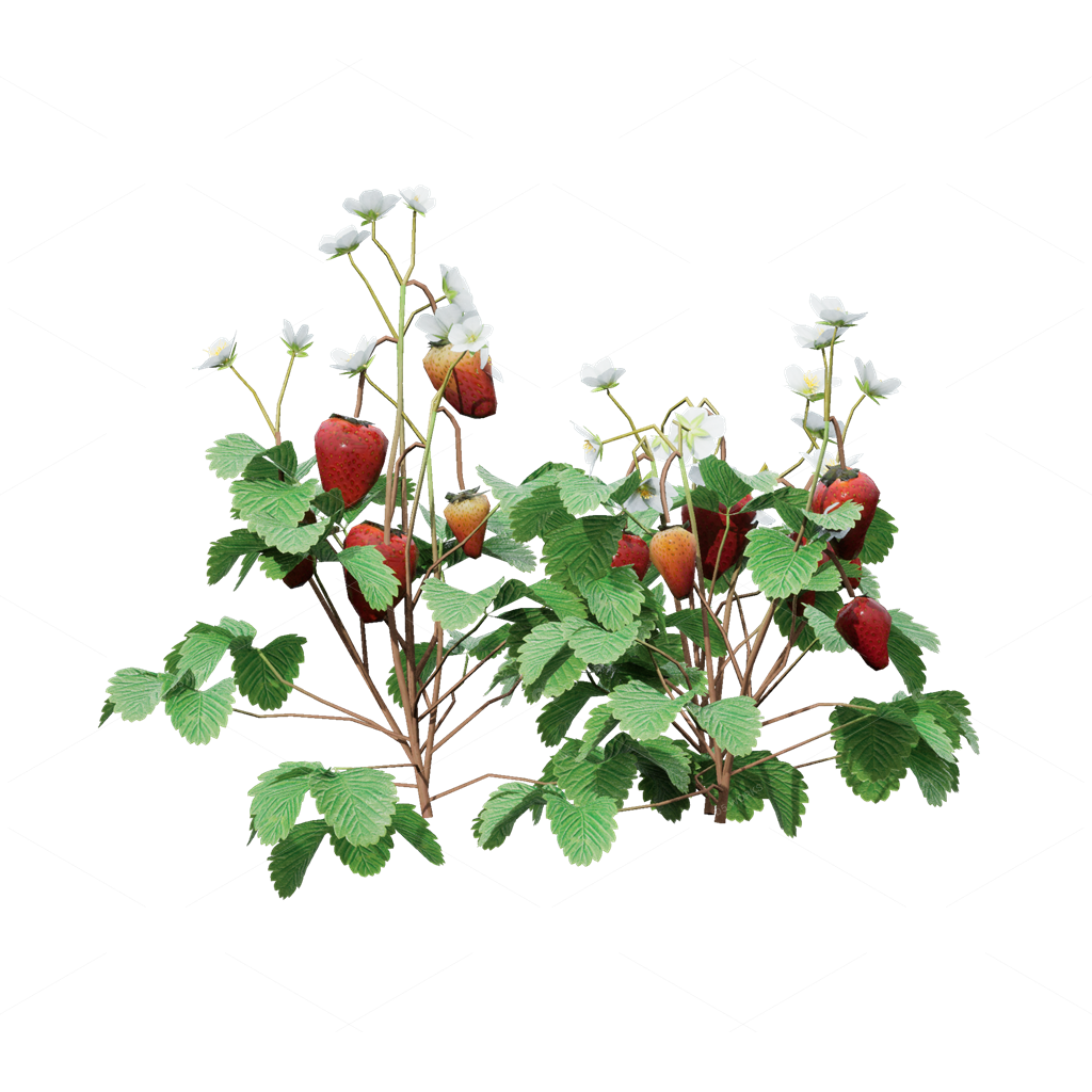 Crops 3D Models