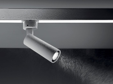 Modern Downlight & Spotlight