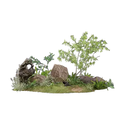 Grouped vegetation 28 3d model