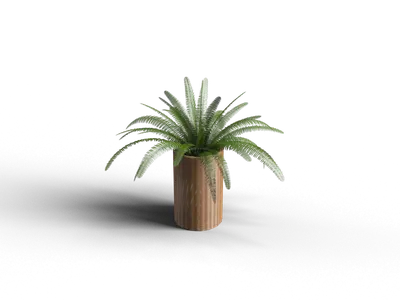Potted Succulent Plant In Wooden Planter 3d model