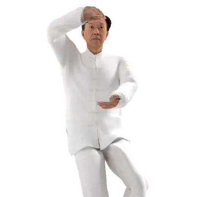 Tom Practice Tai Chi 01