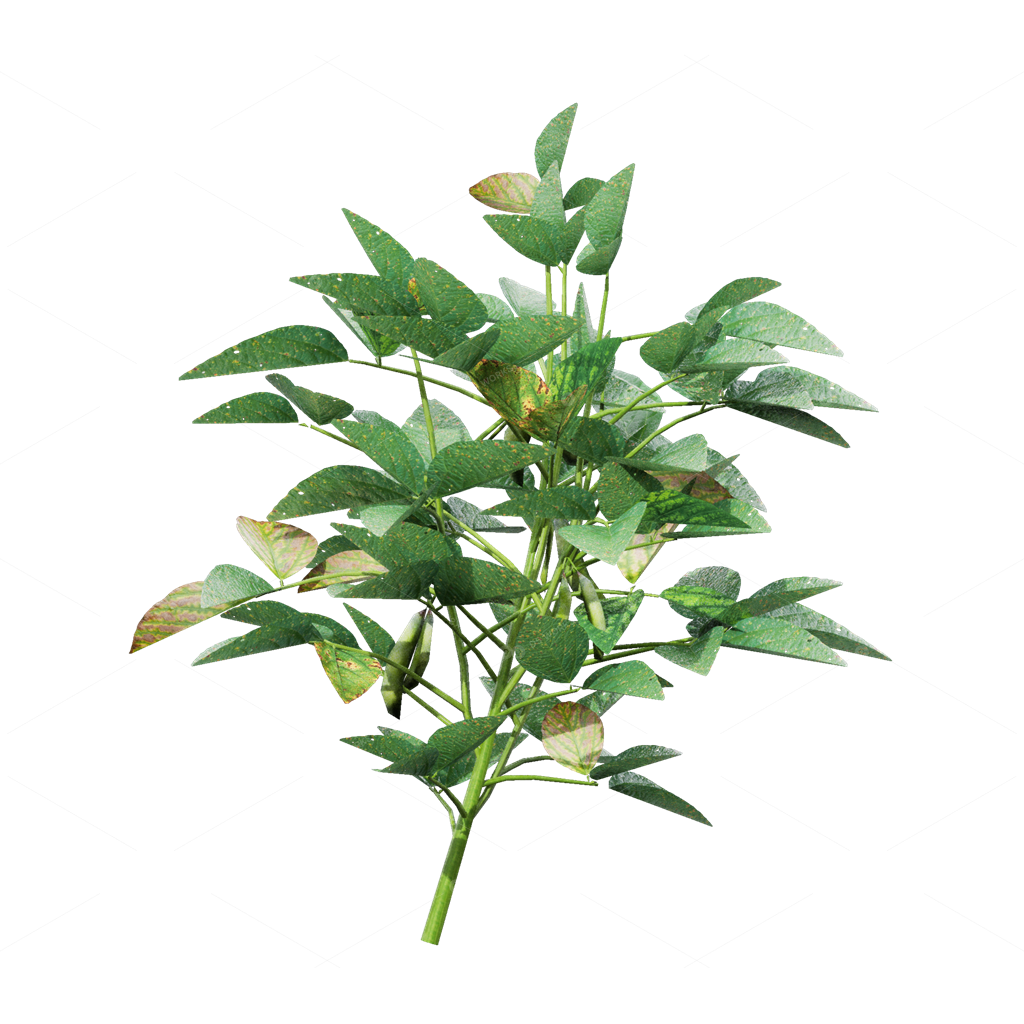 Crops 3D Models