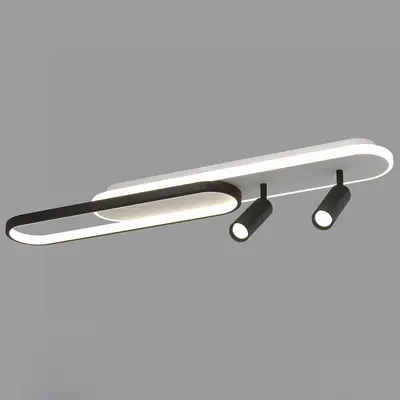 Modern Flush Mount Light