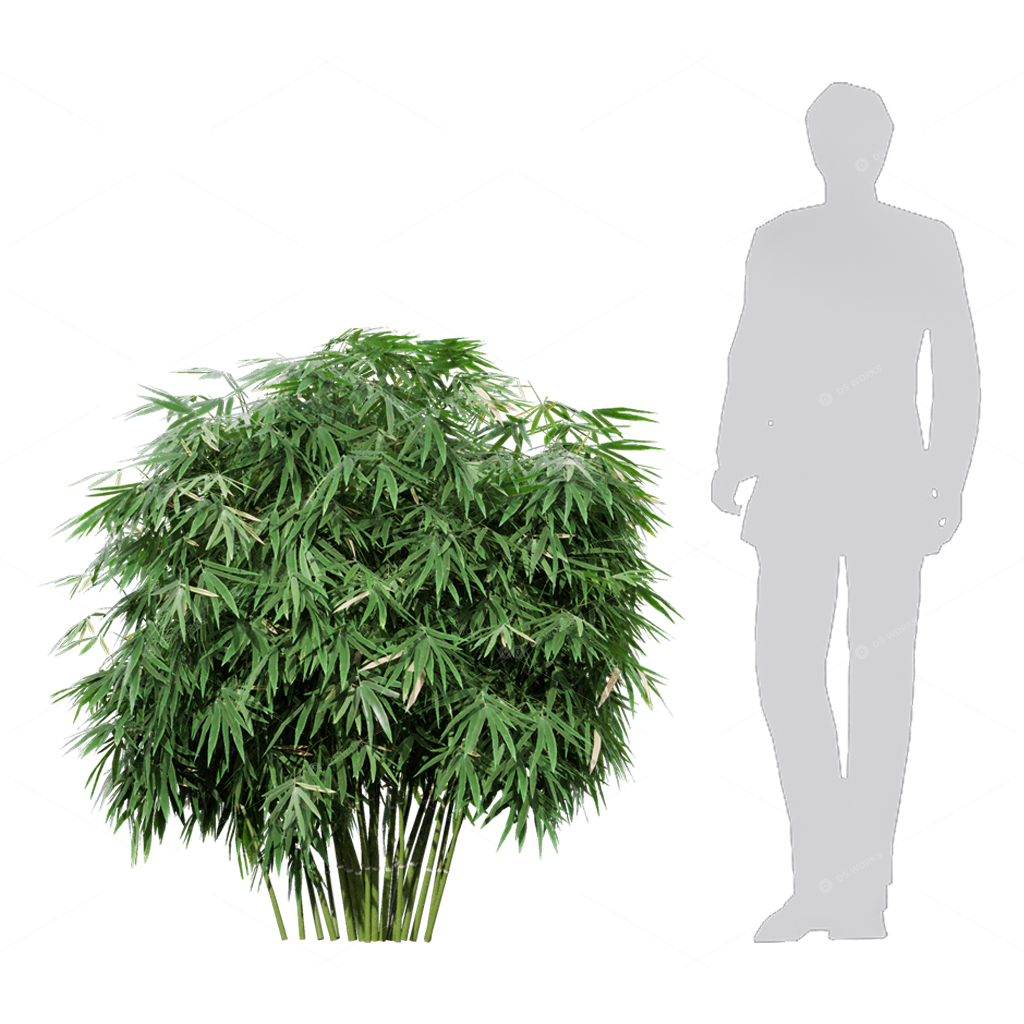 Other Botanicals 3D Models