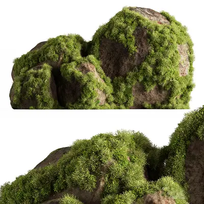 Modern Moss