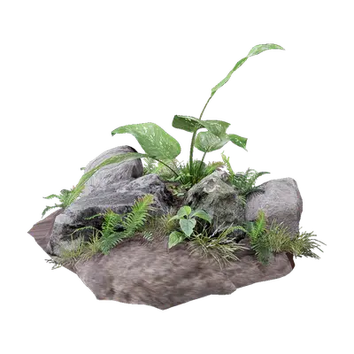 Grouped vegetation 31