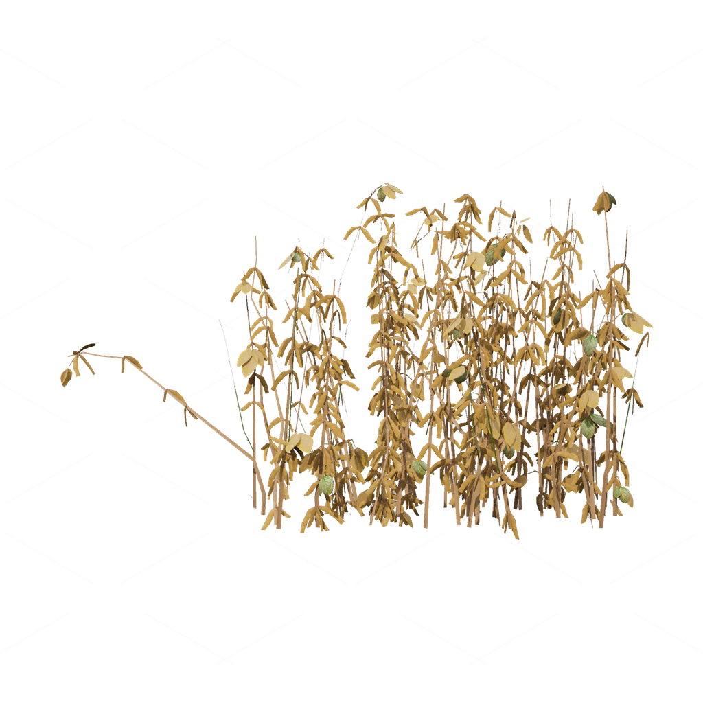 Crops 3D Models