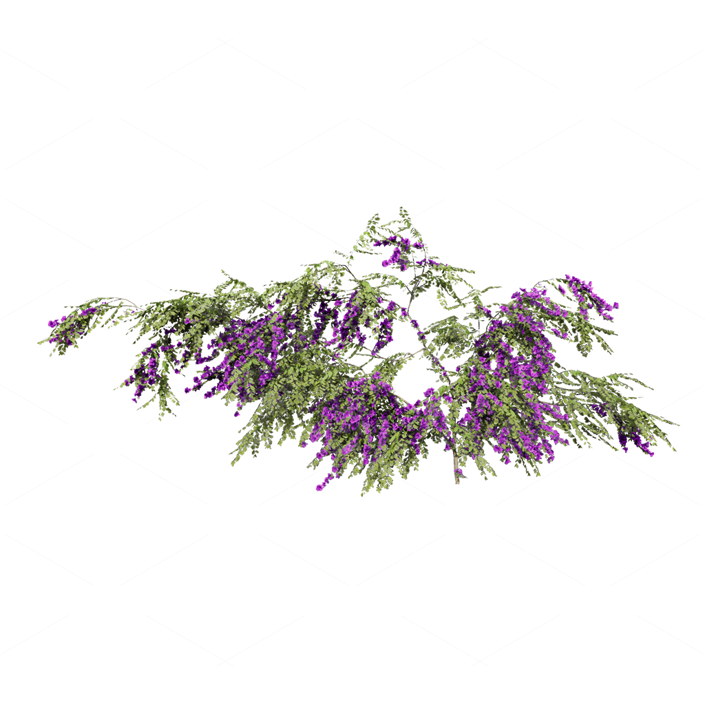 Climbing Plants 3D Models