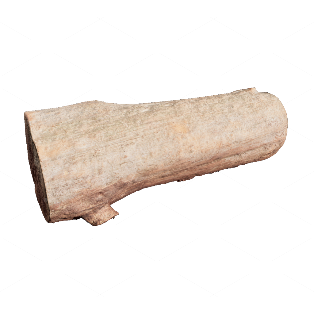 Other Botanicals 3D Models