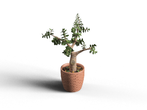 Modern Potted Plant
