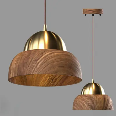 Wood And Brass Pendant Lamp 3d model