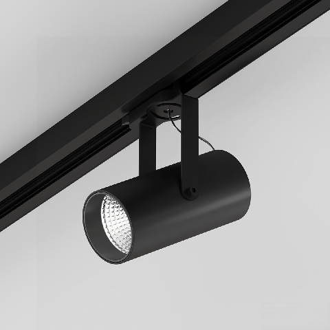 Modern Downlight & Spotlight