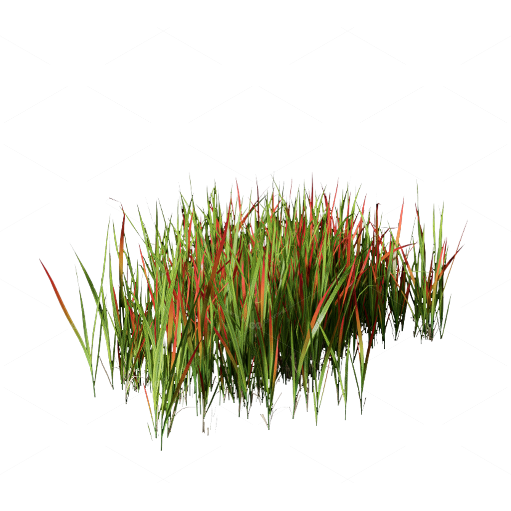 Flowers 3D Models