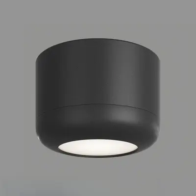 Modern Downlight & Spotlight