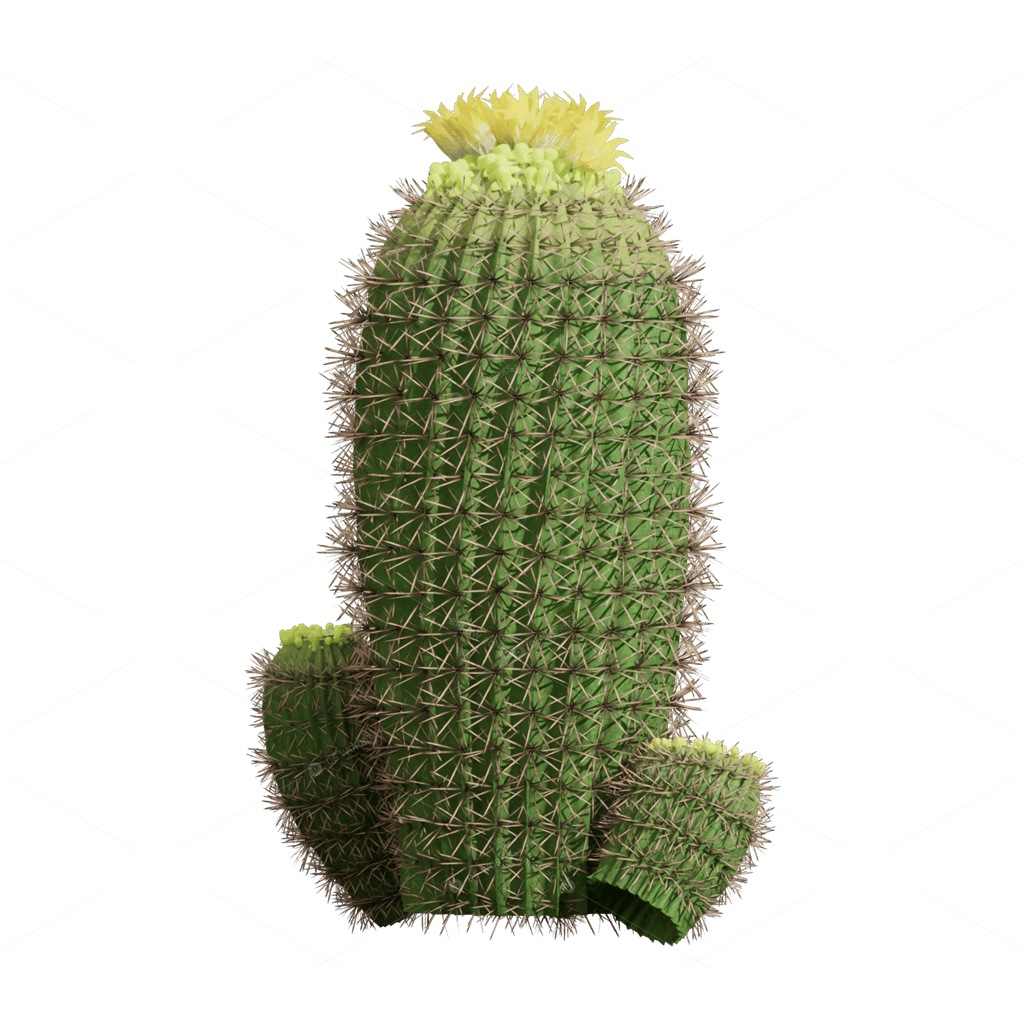 Xerophyte Plants 3D Models