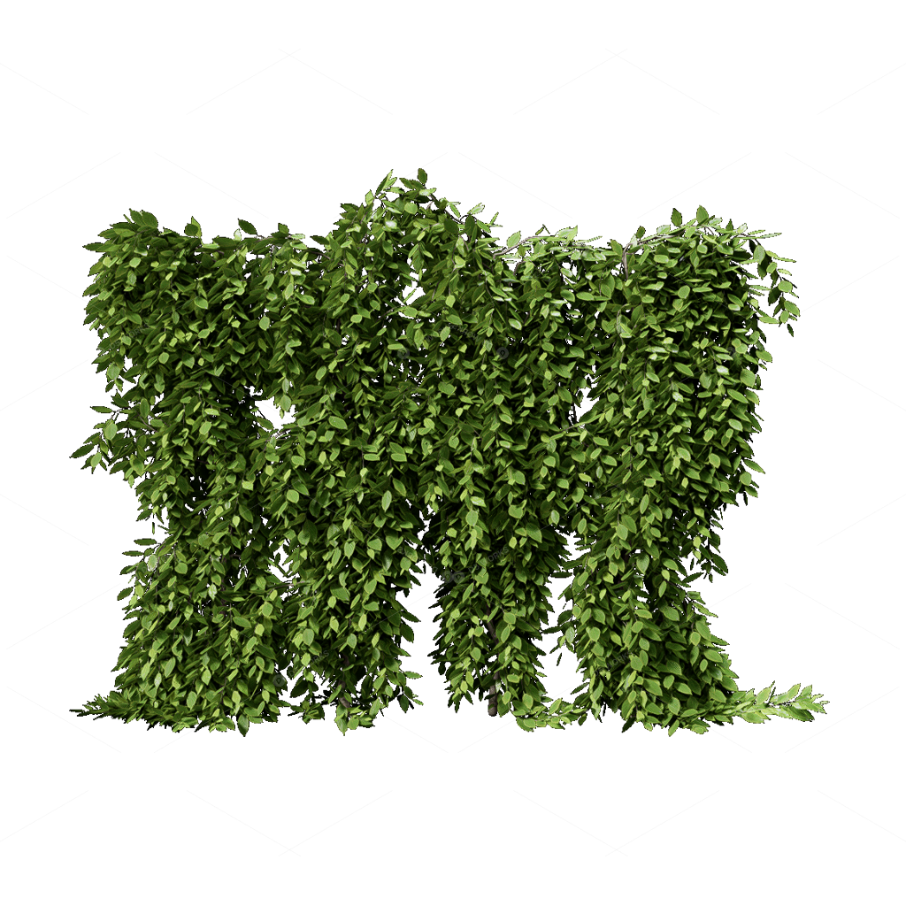 Climbing Plants 3D Models