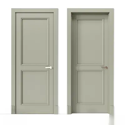 Modern Single Door