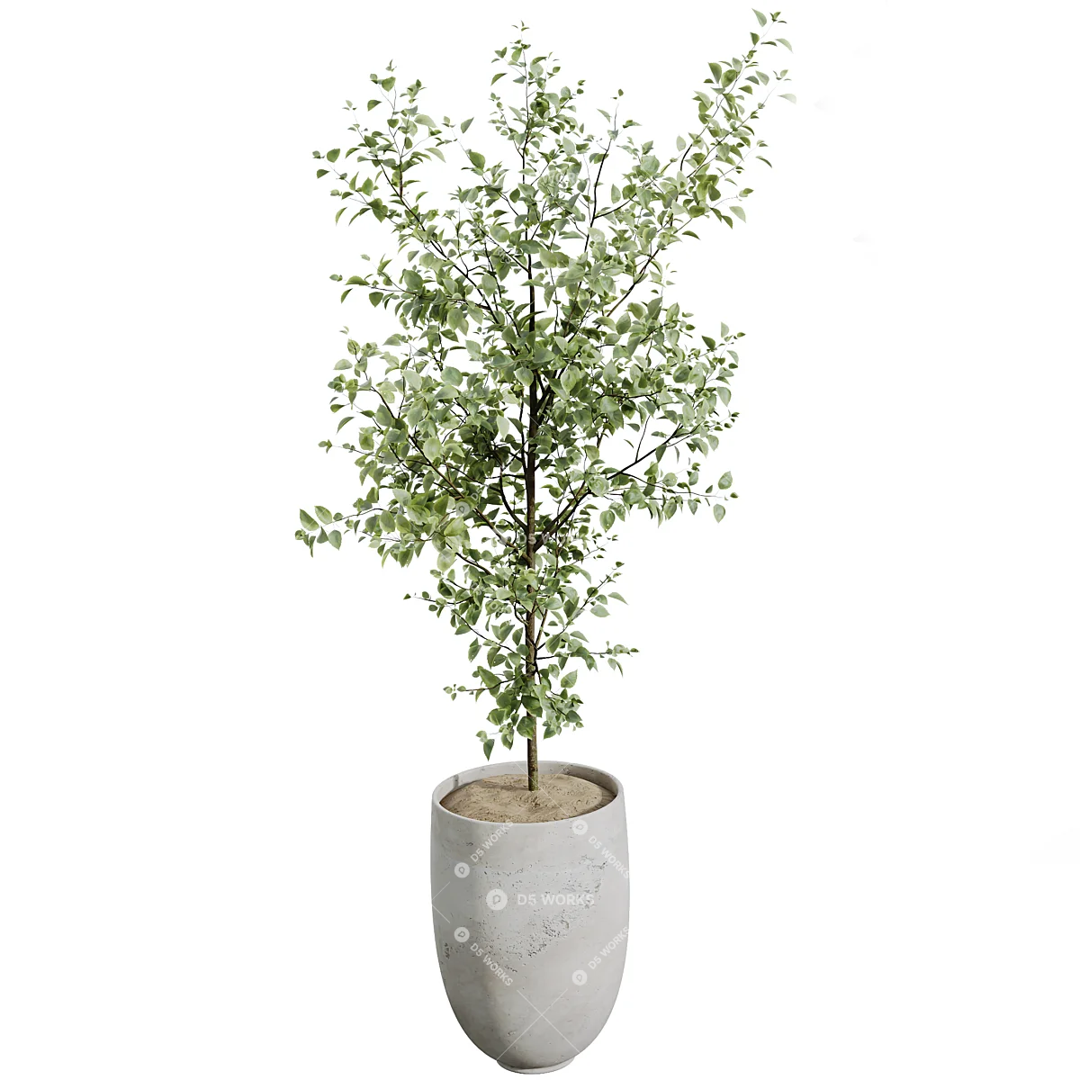 Potted Plant 3d model thumbnail 2