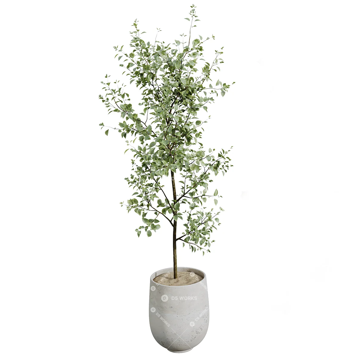 Potted Plant 3d model thumbnail 3