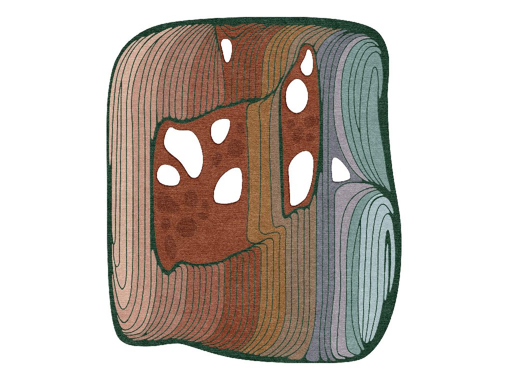 Modern Carpet