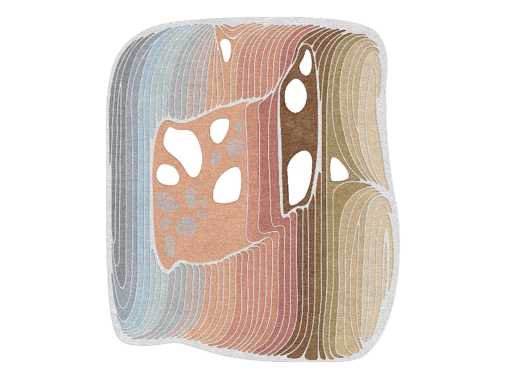 Modern Carpet