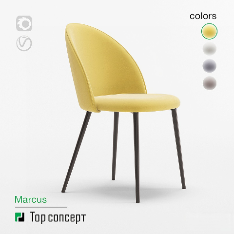 Modern Chairs 