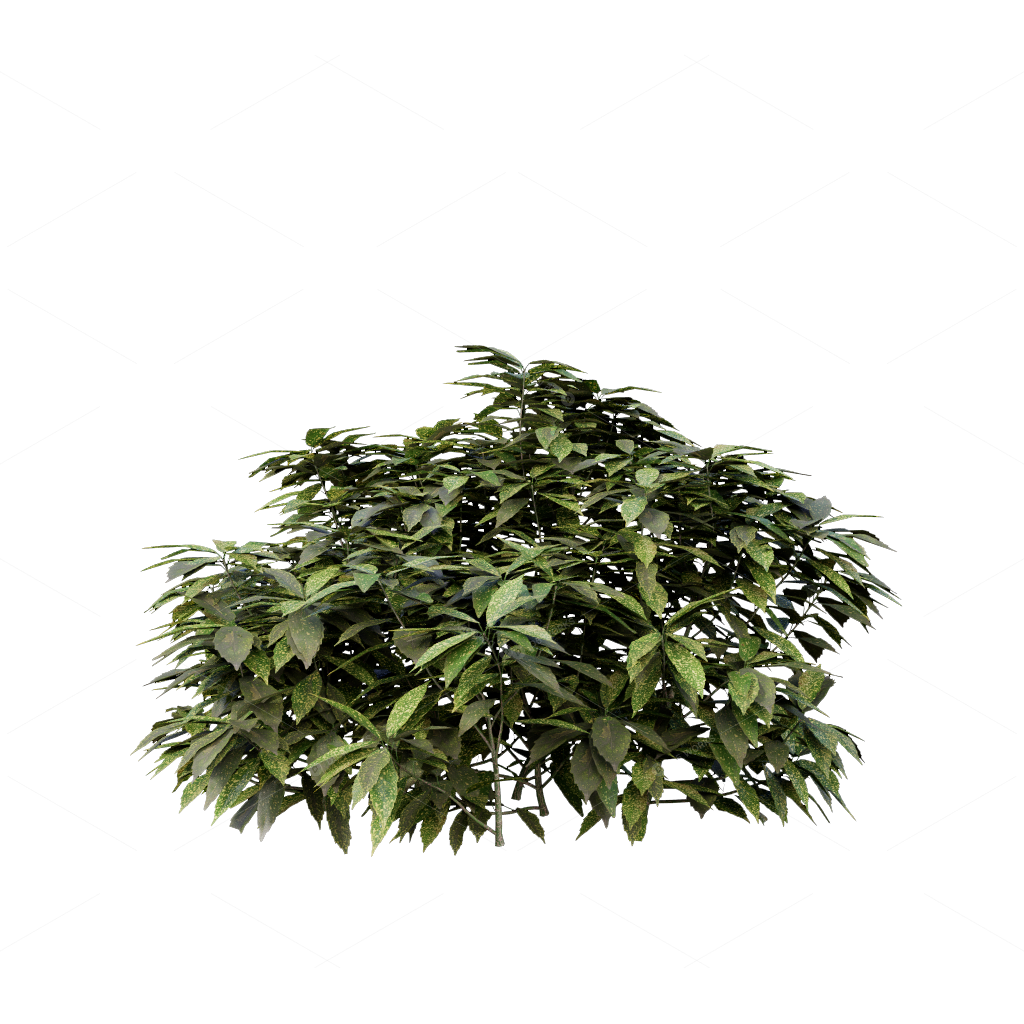 Shrubs 3D Models