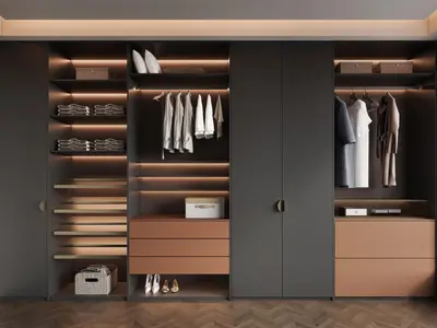 Modern Wardrobe With Integrated Lighting 3d model