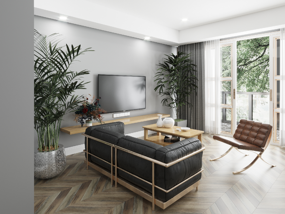 Modern Home Living Room