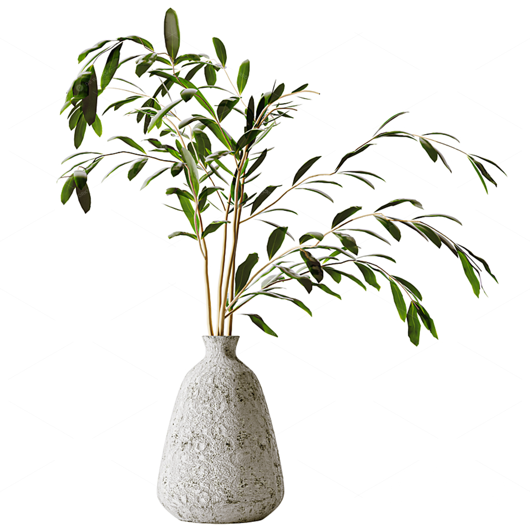 Vases & Floral Arrangements 3D Models
