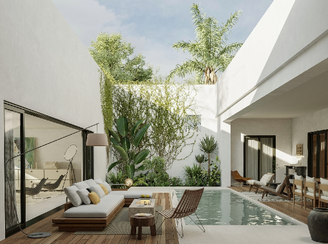 Modern Organic Modern Residential Courtyard
