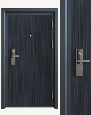 Modern Single Door