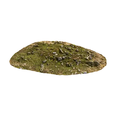 Mossy Stone Ground