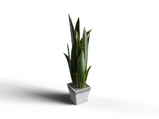 Modern Potted Plant