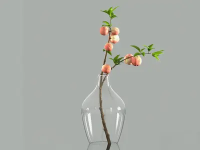 Modern Indoor Aerial View