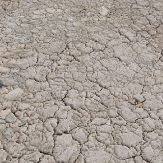 Muddy Ground Cracked Ground